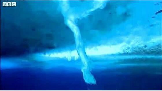 恐怖的南极死亡冰柱,所过之处寸草不生(视频详解)