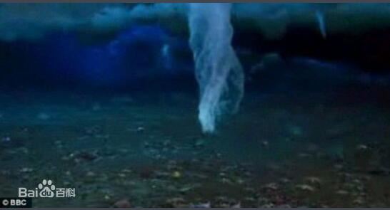 恐怖的南极死亡冰柱，所过之处寸草不生(视频详解)