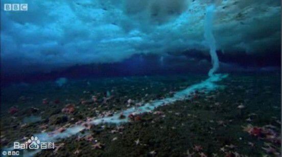 恐怖的南极死亡冰柱，所过之处寸草不生(视频详解)