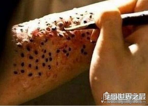 史上最全的空手指图片，空手指莲蓬乳合集(能看完算你叼)