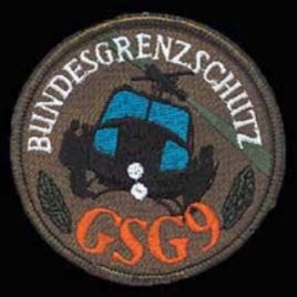 世界十大特种部队，中国的“猎豹”上榜（成都军区）