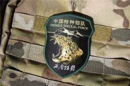 世界十大特种部队，中国的“猎豹”上榜（成都军区）