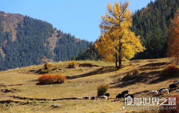 河西走廊位于什么以西,乌鞘岭以西(乌鞘岭是河西走廊的分界线)