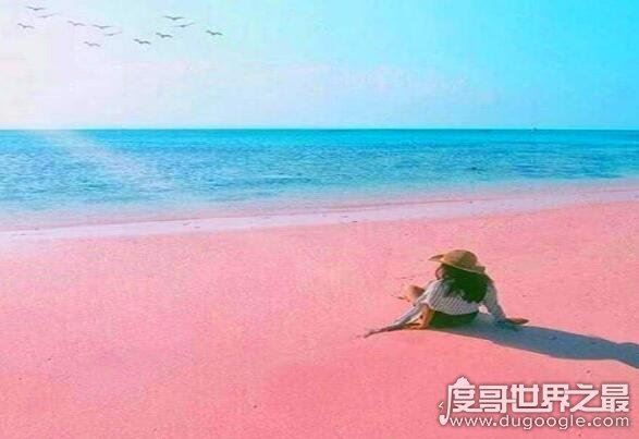 世界上最性感的海滩,粉色沙滩(一个让你少女心炸裂的地方)