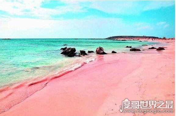 世界上最性感的海滩，粉色沙滩(一个让你少女心炸裂的地方)