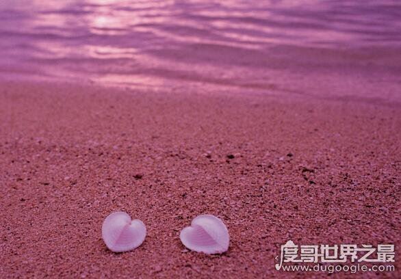 世界上最性感的海滩，粉色沙滩(一个让你少女心炸裂的地方)