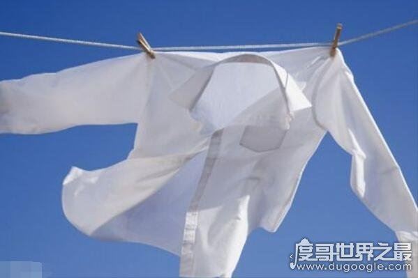 衣服染色怎么洗掉，教你几个去除染色的小妙招(瞬间焕然一新)