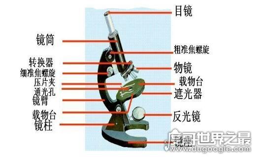 世界上最早的显微镜,亚斯·詹森在1590年发明了首个显微镜