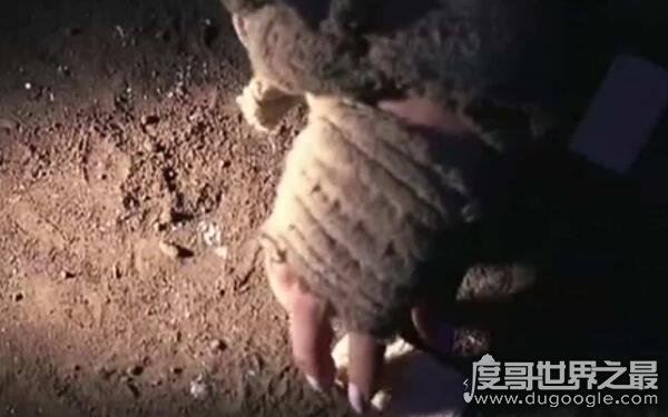 天涯左央事件始末,通灵游戏真实经历(据传遇到灵异事件)