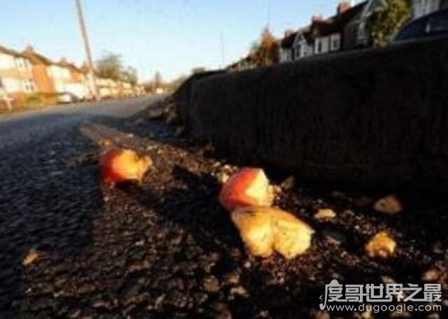 世界上最奇特的怪雨，英国苹果雨(天空下苹果引众人争抢)