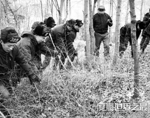 韩国大邱青蛙少年失踪案，五名少年离奇惨死(凶手至今未找到)