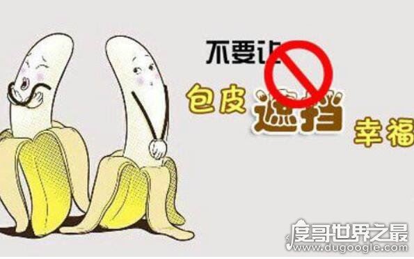 割包为什么很多人后悔,主要有这4点(包茎才需做手术)
