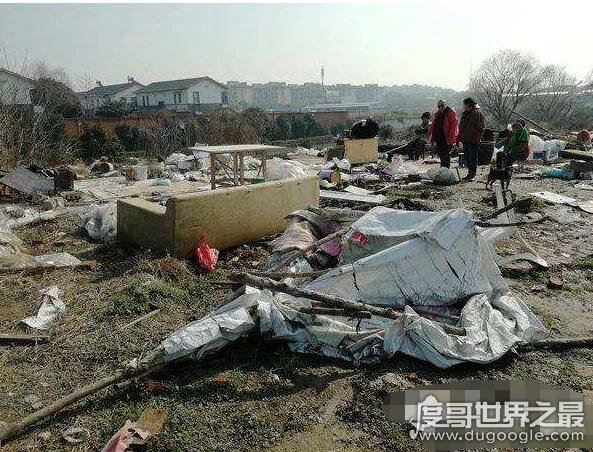 扬州考古队员被打事件后续，涉事城管已被调查(只因违建)