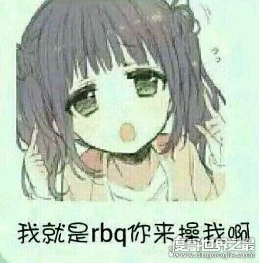 rbq到底是什么意思，和＂公交车＂是一个含义(肉 便 器)