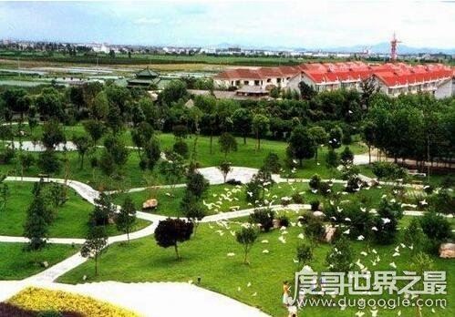 中国最富有的六个村子，中国最富有的村华西村都是千万富翁