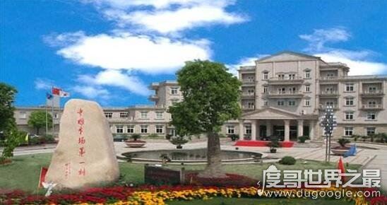 中国最富有的六个村子，中国最富有的村华西村都是千万富翁