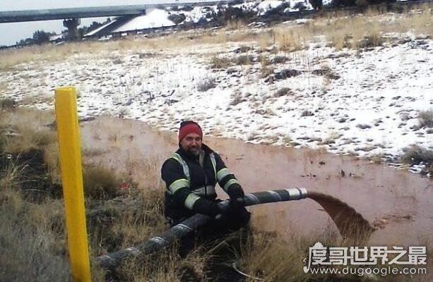 美国巧克力罐车侧翻,导致18吨巧克力流成河(场面壮观)