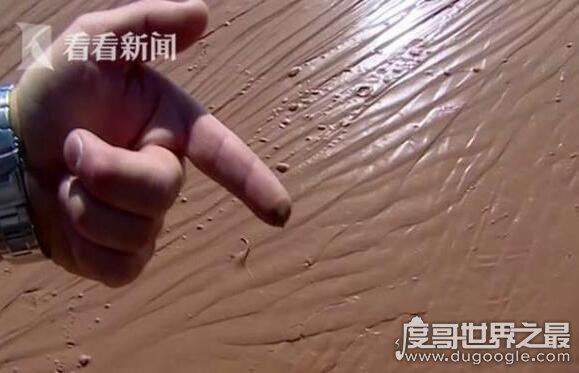 美国巧克力罐车侧翻,导致18吨巧克力流成河(场面壮观)