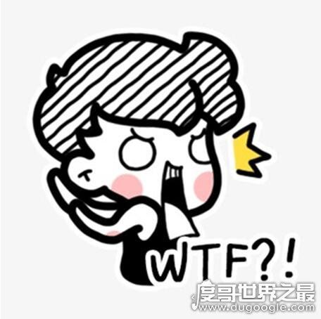 wtf什么意思？类似于中文卧槽/草泥马(骂人的脏话)
