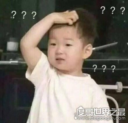 wtf什么意思？类似于中文卧槽/草泥马(骂人的脏话)