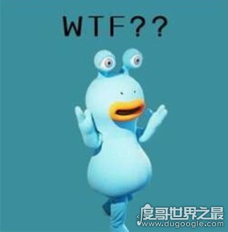 wtf什么意思？类似于中文卧槽/草泥马(骂人的脏话)
