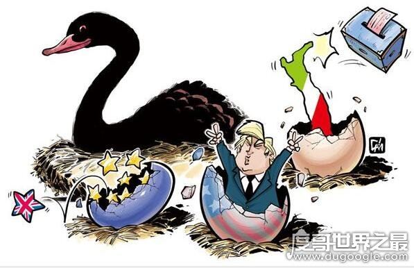 黑天鹅事件是什么意思,一切不寻常/罕见/突发事件的统称
