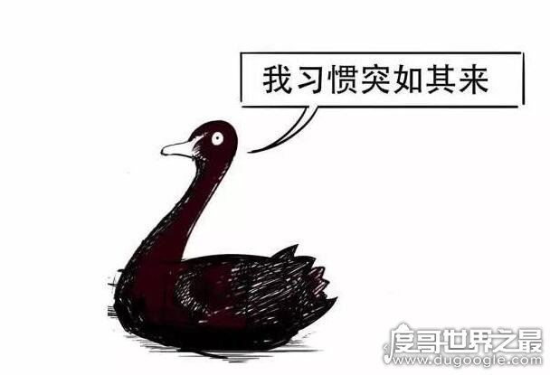 黑天鹅事件是什么意思，一切不寻常/罕见/突发事件的统称