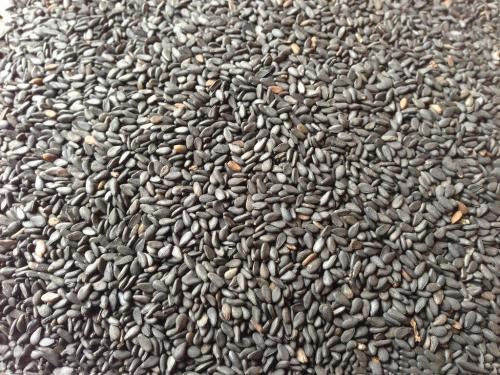 超级恶心的芝麻洗澡事件，密集恐惧症勿入（电影原型）