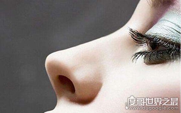 世界公认最好看的十种鼻型，凸显立体五官（协调最美）