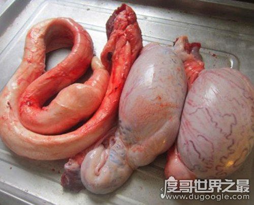 男人吃了牛鞭晚上会硬吗，长期食用效果佳(女性可美容养颜)