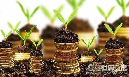 我的余额宝本金亏损了，余额宝是有风险的货币基金投资不保底