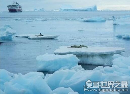 世界上最大的海盘点,珊瑚海排名第1(总面积堪比半个中国)