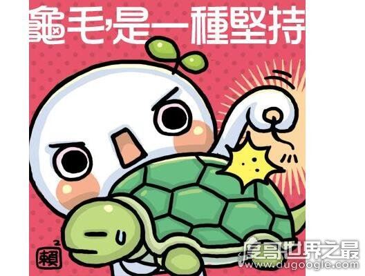 龟毛是什么意思,指一个人在生活中过度重视细节(近似“事儿妈”)