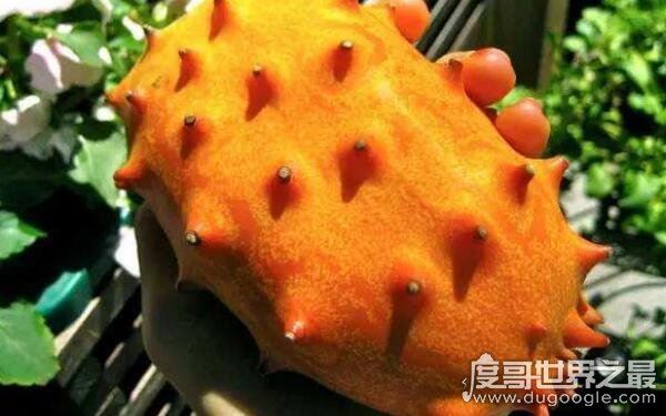 世界十大稀奇水果，名称让人陌生（少见的水果）