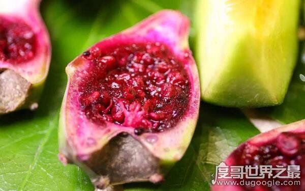 世界十大稀奇水果，名称让人陌生（少见的水果）