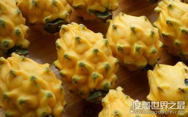 世界十大稀奇水果，名称让人陌生（少见的水果）