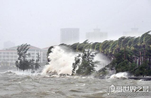 世界上最大的台风排名，台风泰培有史以来最强(造成了110人死亡)