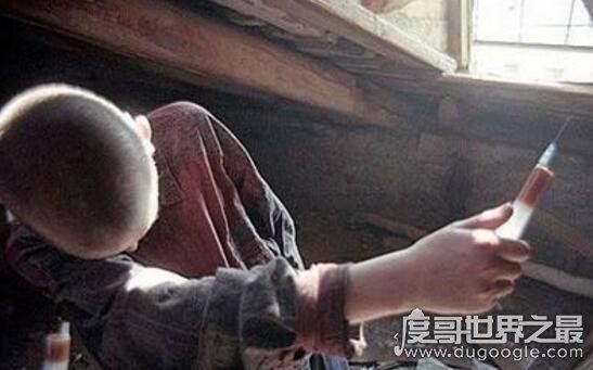 肯尼迪家族的诅咒应验，家族成员接二连三死于非命