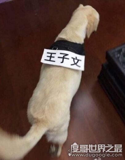 王子文老公刘丰源资料,富二代隐婚四年已有儿子