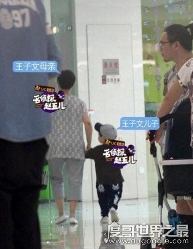 王子文老公刘丰源资料,富二代隐婚四年已有儿子