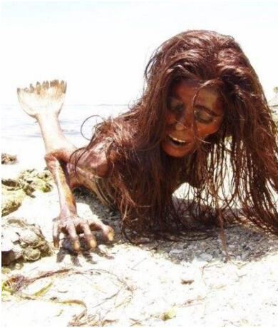 世界上有美人鱼吗，并不是传说(世界上是真有美人鱼存在)