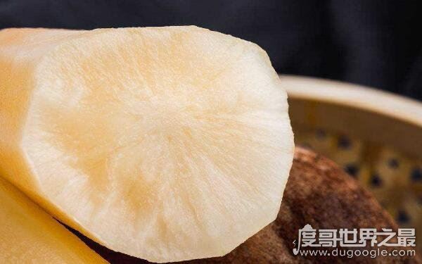 十大低糖水果排行榜,番石榴位居第一(糖尿病须知)