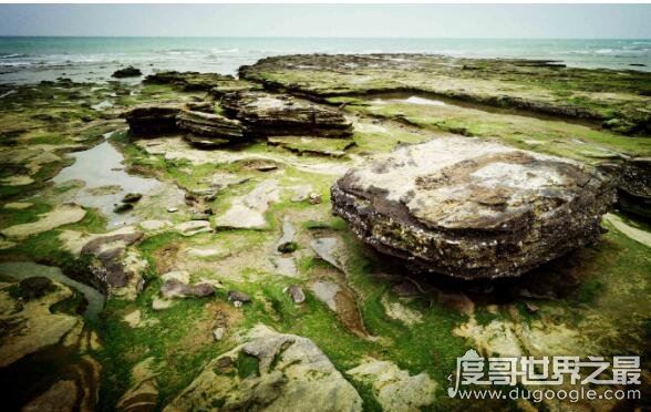 涠洲岛在哪里，在广西北海市北部湾海域中部(与海南岛隔海相望)