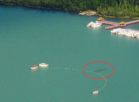 世界十大水怪之谜，尼斯湖水怪竟是天大骗局(欺骗人们60年)