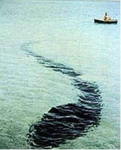 世界十大水怪之谜，尼斯湖水怪竟是天大骗局(欺骗人们60年)