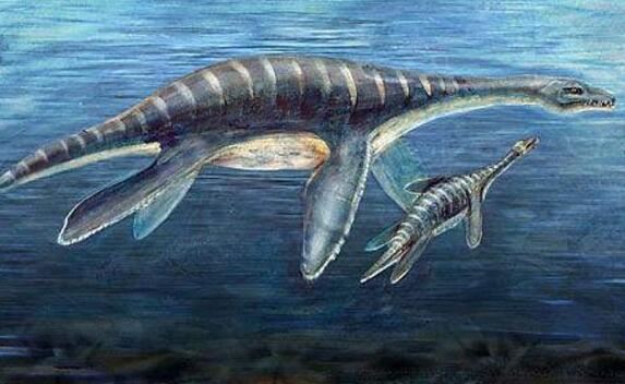 世界十大水怪之谜，尼斯湖水怪竟是天大骗局(欺骗人们60年)