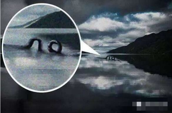 世界十大水怪之谜，尼斯湖水怪竟是天大骗局(欺骗人们60年)