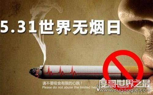 世界无烟日是几月几日,每年5月31日(吸烟的四大危害)