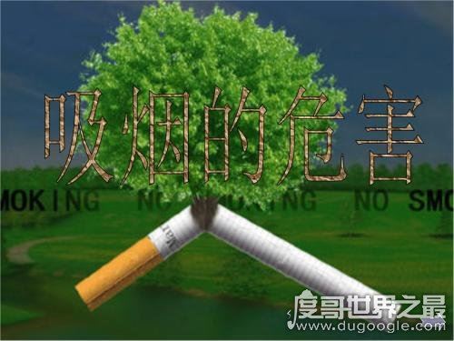 世界无烟日是几月几日，每年5月31日(吸烟的四大危害)