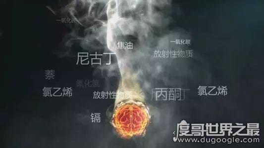 世界无烟日是几月几日,每年5月31日(吸烟的四大危害)